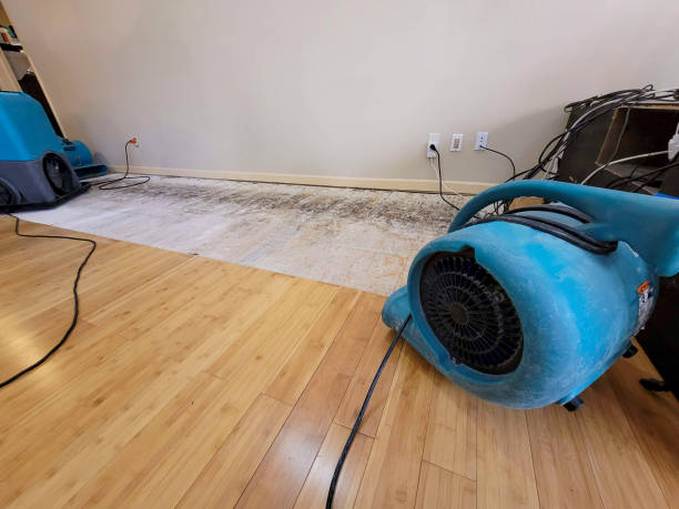 Professional Water Removal technician working in Summitville, OH